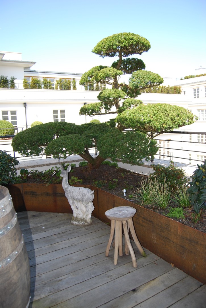 Private Dachterrasse Lenbachgarten Munchen Ohnes Schwahn Landschaftsarchitekten