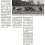 21. November 1998 - BLW