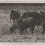 28. Oktober 1998 - Münchner Merkur